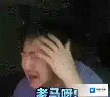 梗百科茄子