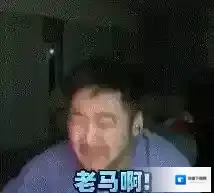 梗百科大司马