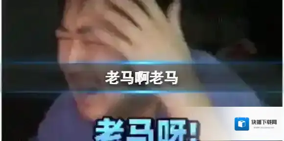 梗百科老马