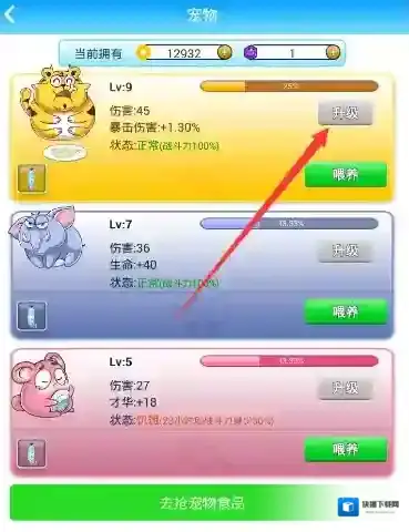 派派宠物