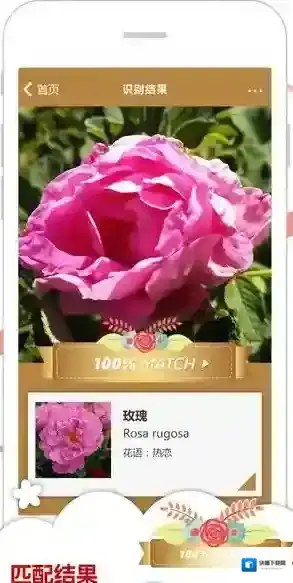 《微软识花》相关功能使用方法介绍