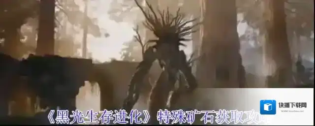 黑光生存进化采集