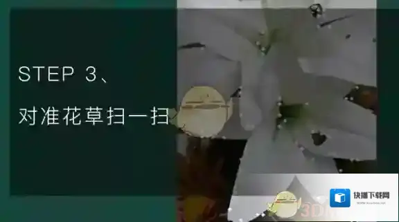 QQ浏览器能力