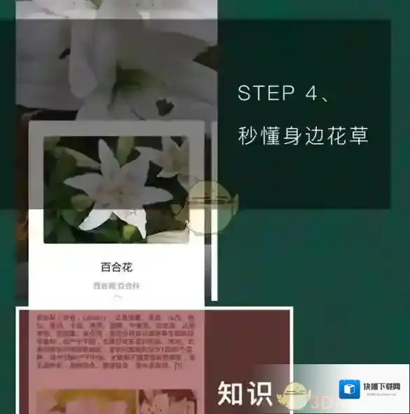 QQ浏览器信息