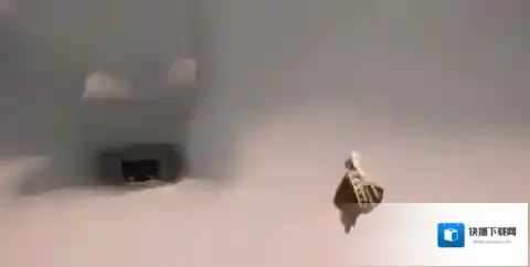 光遇霞谷