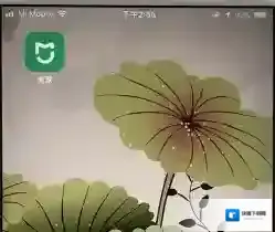 在米家APP中设置共享设备的详细操作方法
