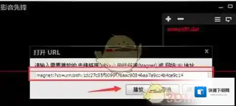 影音先锋选项