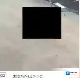 《闲鱼》给卖家留言方法说明