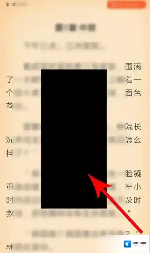 疯读小说黑色