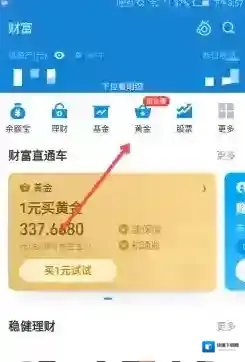 支付宝黄金