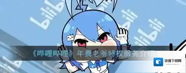 《哔哩哔哩》年费老爷特权服务介绍