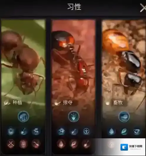 小小蚁国习性怎么选择？小小蚁国习性选择攻略