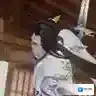花与剑属性