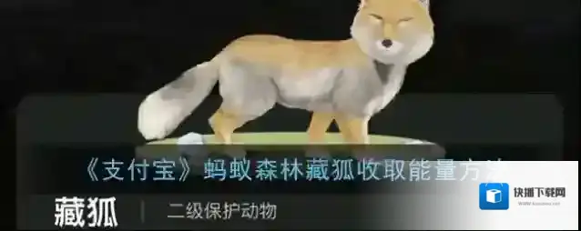 《支付宝》蚂蚁森林藏狐收取能量方法