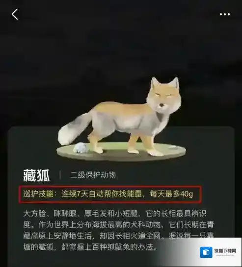 支付宝能量