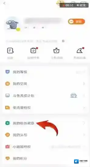 斗鱼徽章