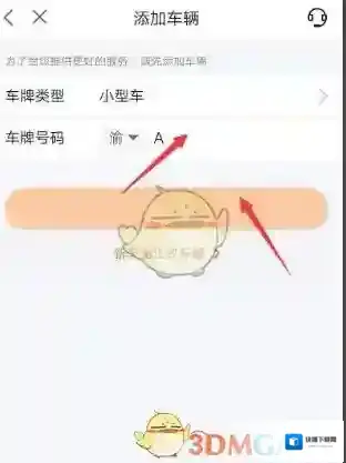 平安好车主信息录入