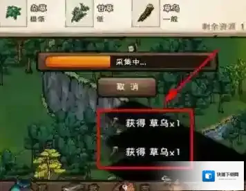 烟雨江湖毒草