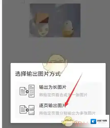 WPS Office输出