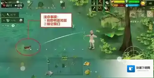 挨饿荒野野鸭