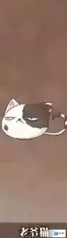 食之契约老爷猫怎么样 堕神老爷猫技能介绍