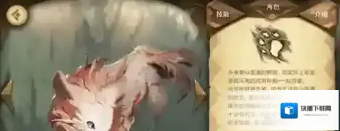 万象物语库尔怎么搭配 库尔阵容搭配推荐
