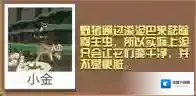 疯狂动物园疯狂野猪怎么抓 疯狂野猪属性图鉴