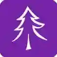 小树优选最新版-v1.2.1