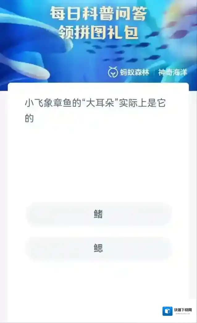 支付宝身体