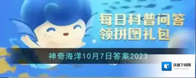 小飞象章鱼的大耳朵实际上是它的