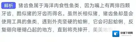 支付宝动物
