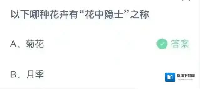 支付宝菊花
