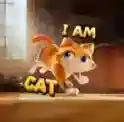 我是猫官方最新版-v1.1.0