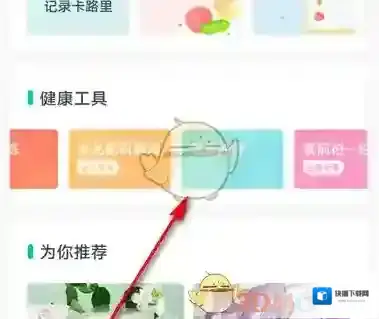 薄荷健康减肥