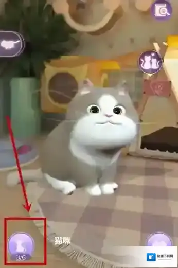 时光公主猫咪